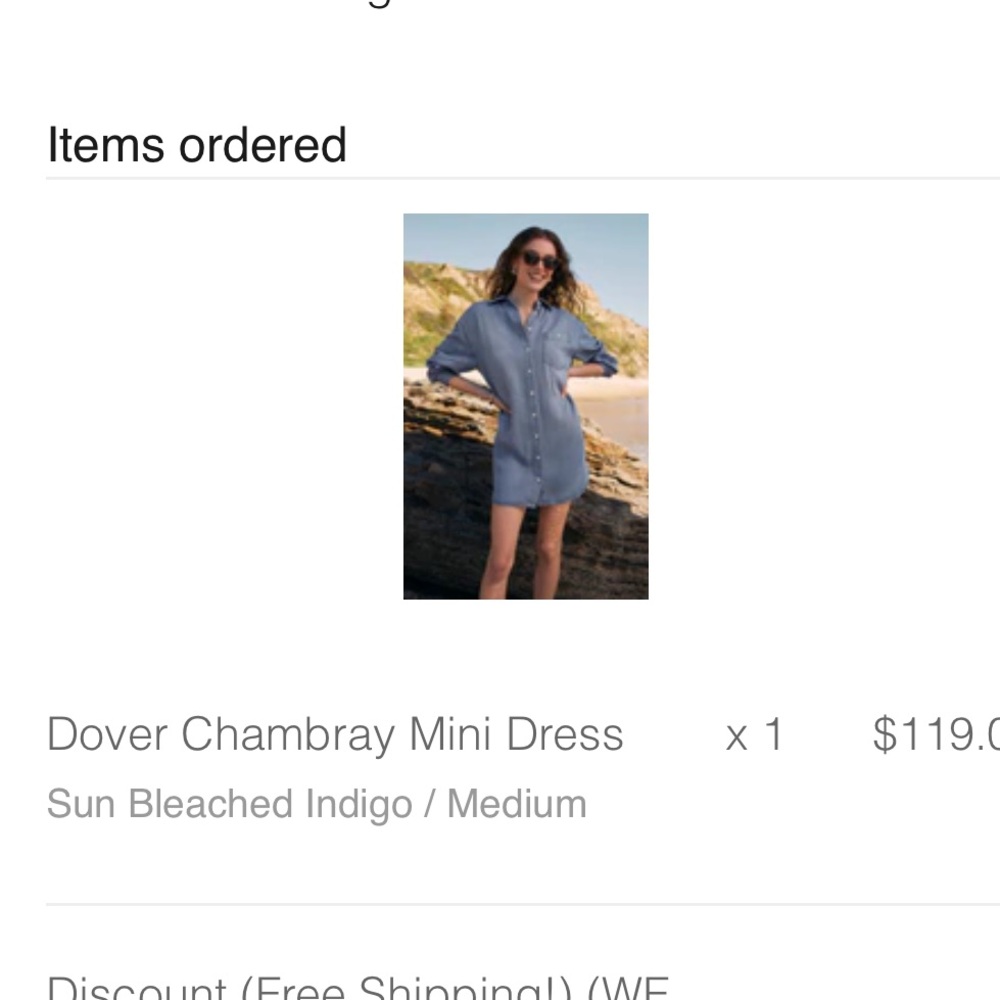 Z Supply Dover Chambray Mini Dress - Blue